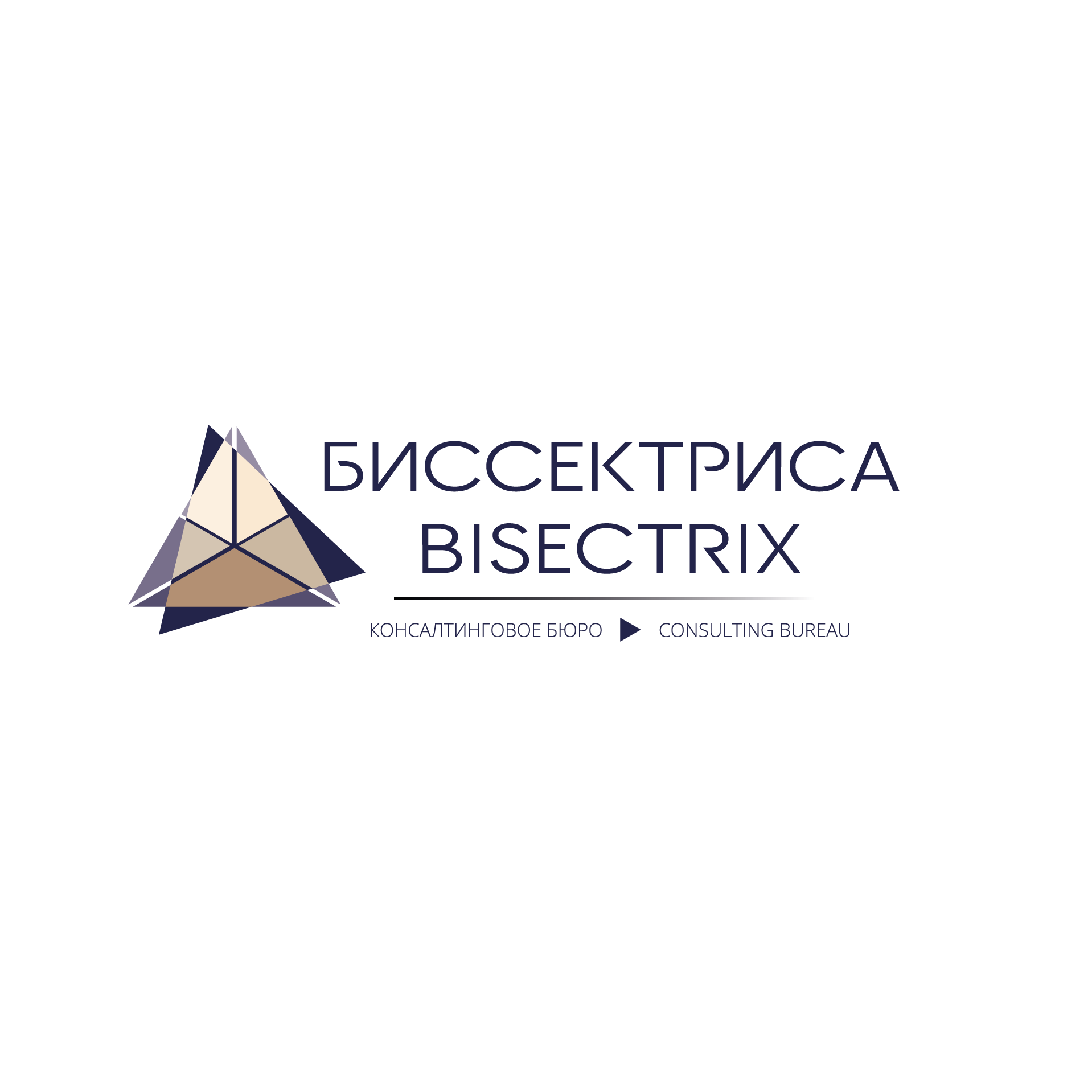 Консультационное бюро «Биссектриса» (ИП Абрамова Зинаида Михайловна)