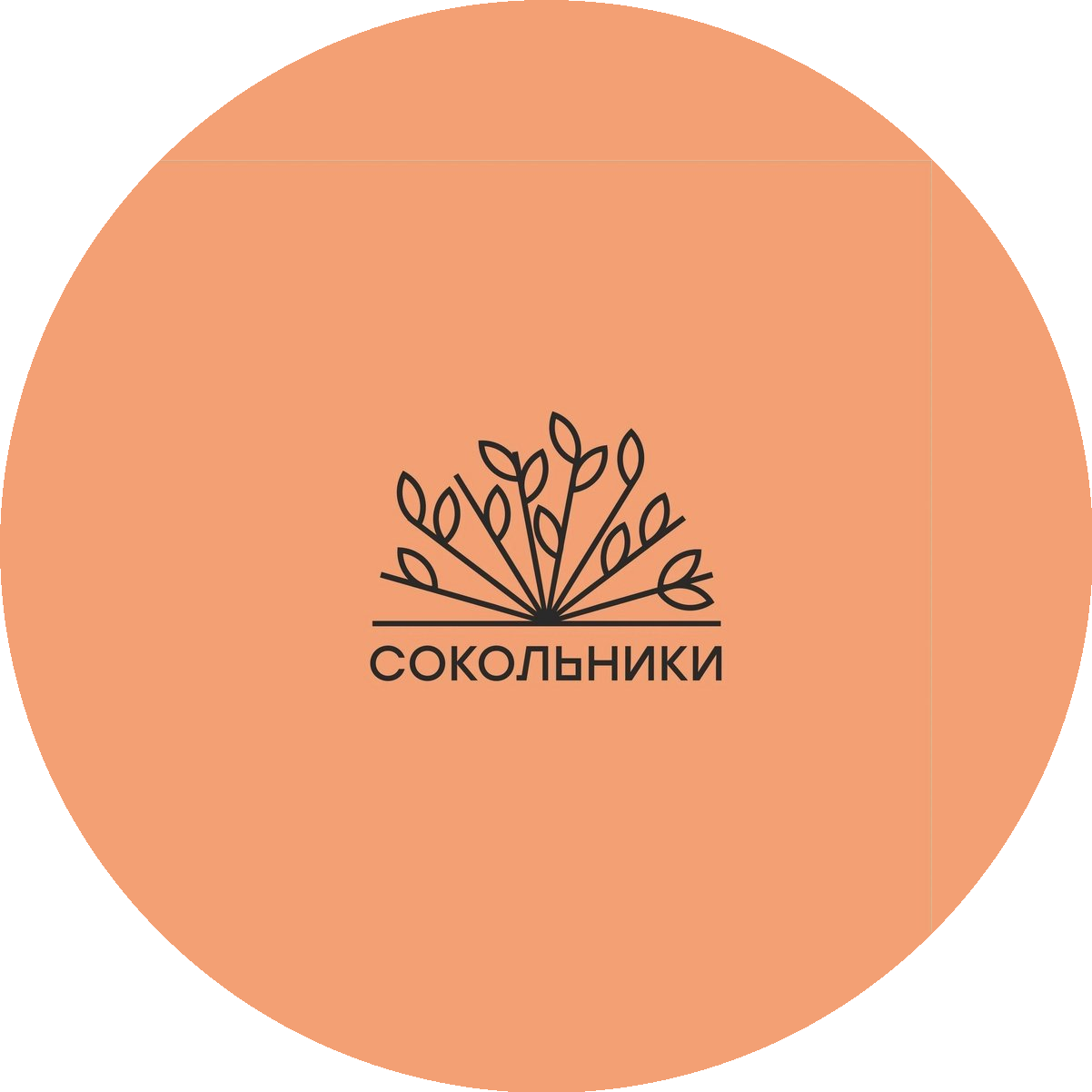 Vacancy icon