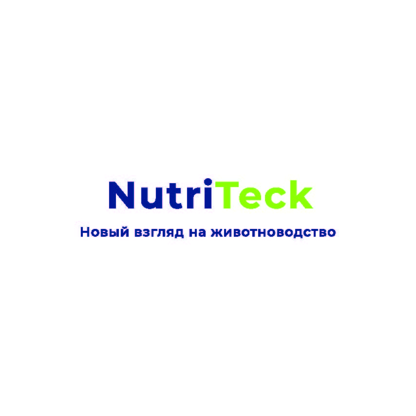 ����� ���