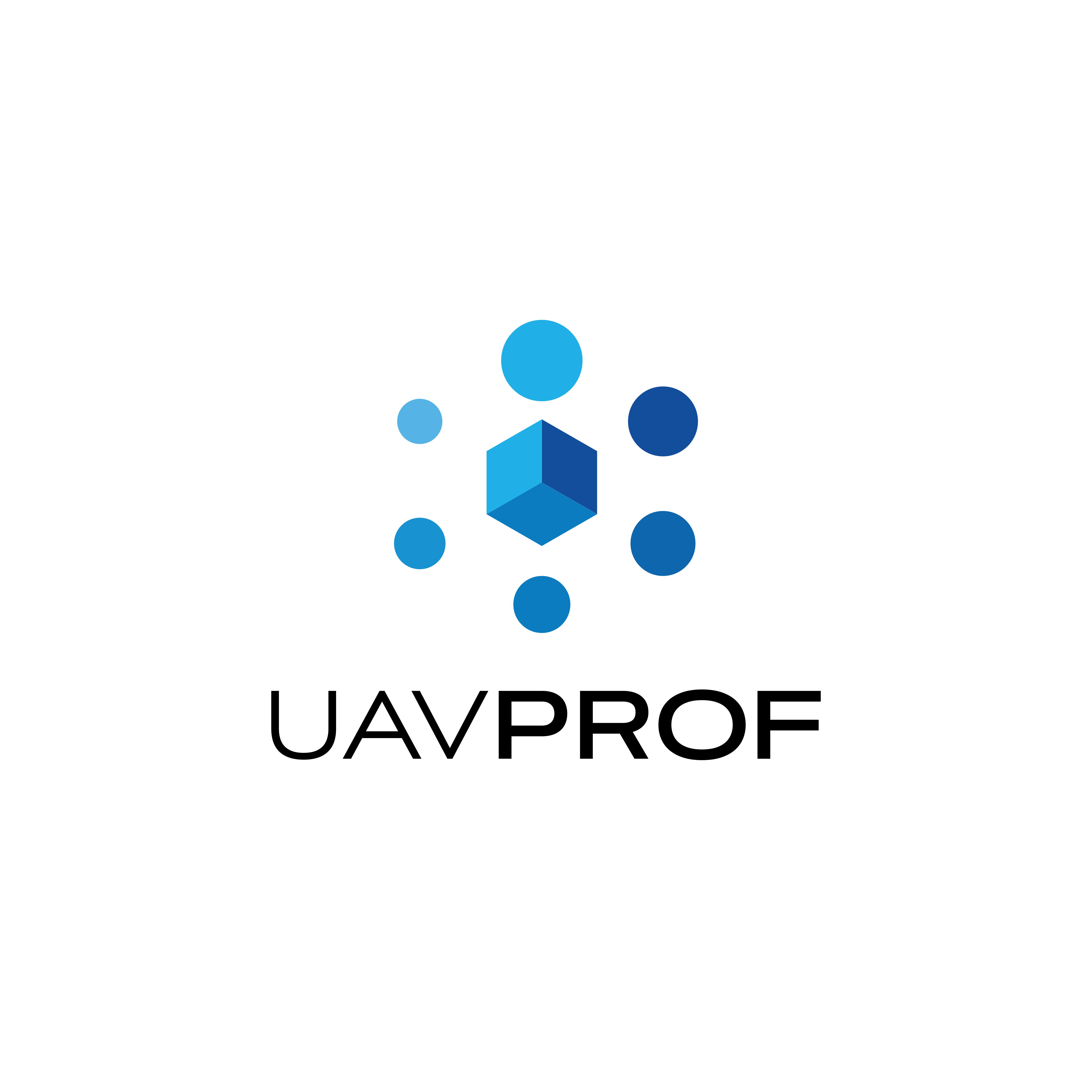 Школа Беспилотной Авиации