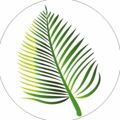 Кофейня Tropic Coffee