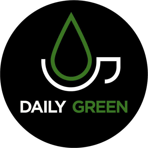 Кофейня Daily Green