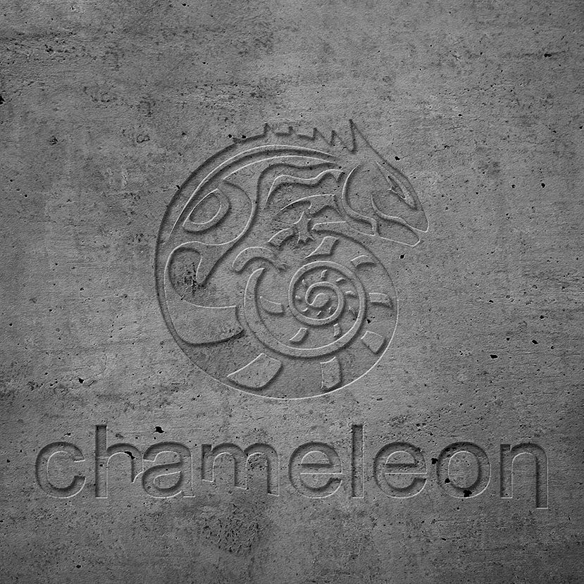   Chameleon