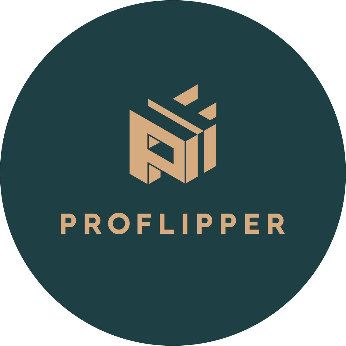 PROFLIPPER (ИП Даутов Тимур Рашитович)