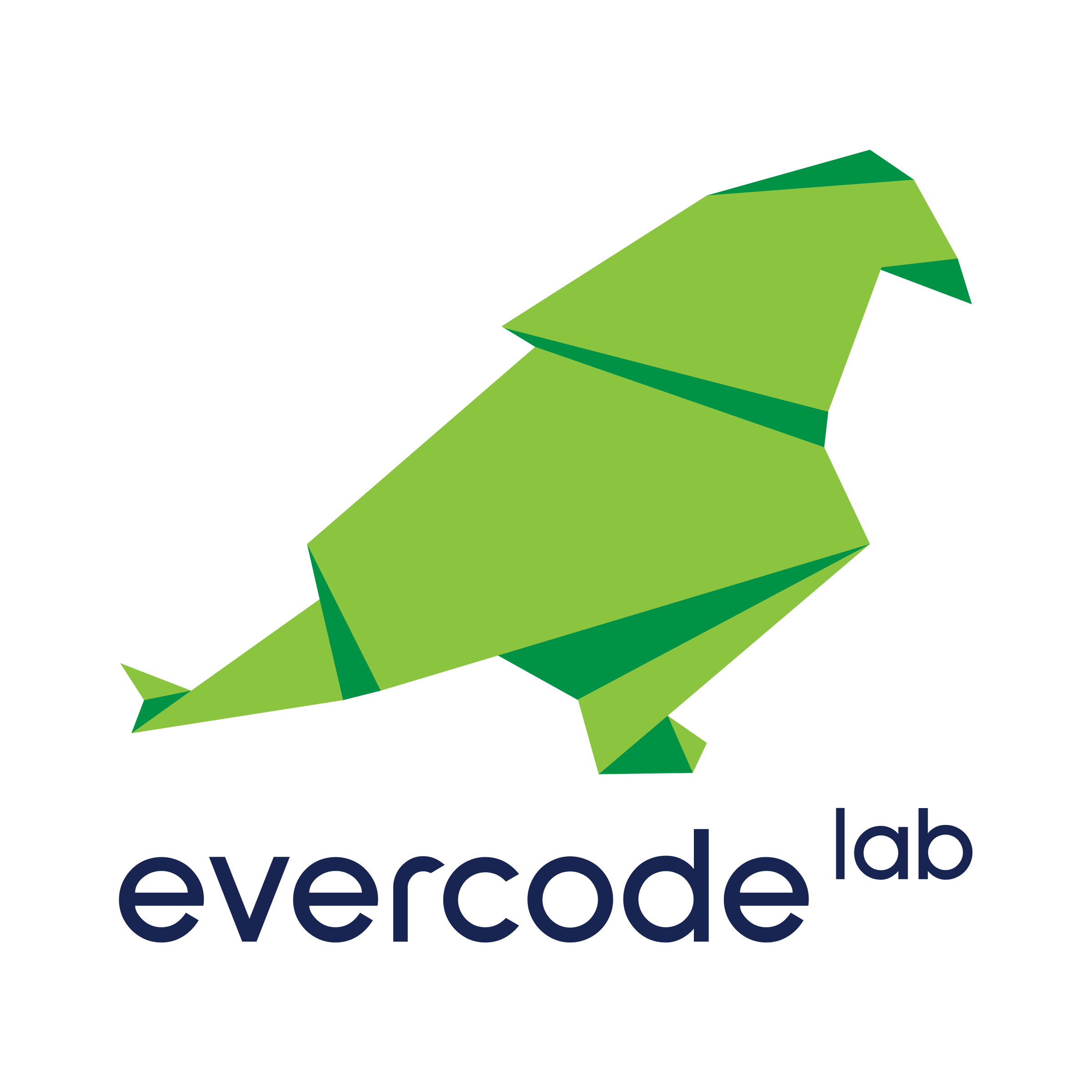 Evercode Lab