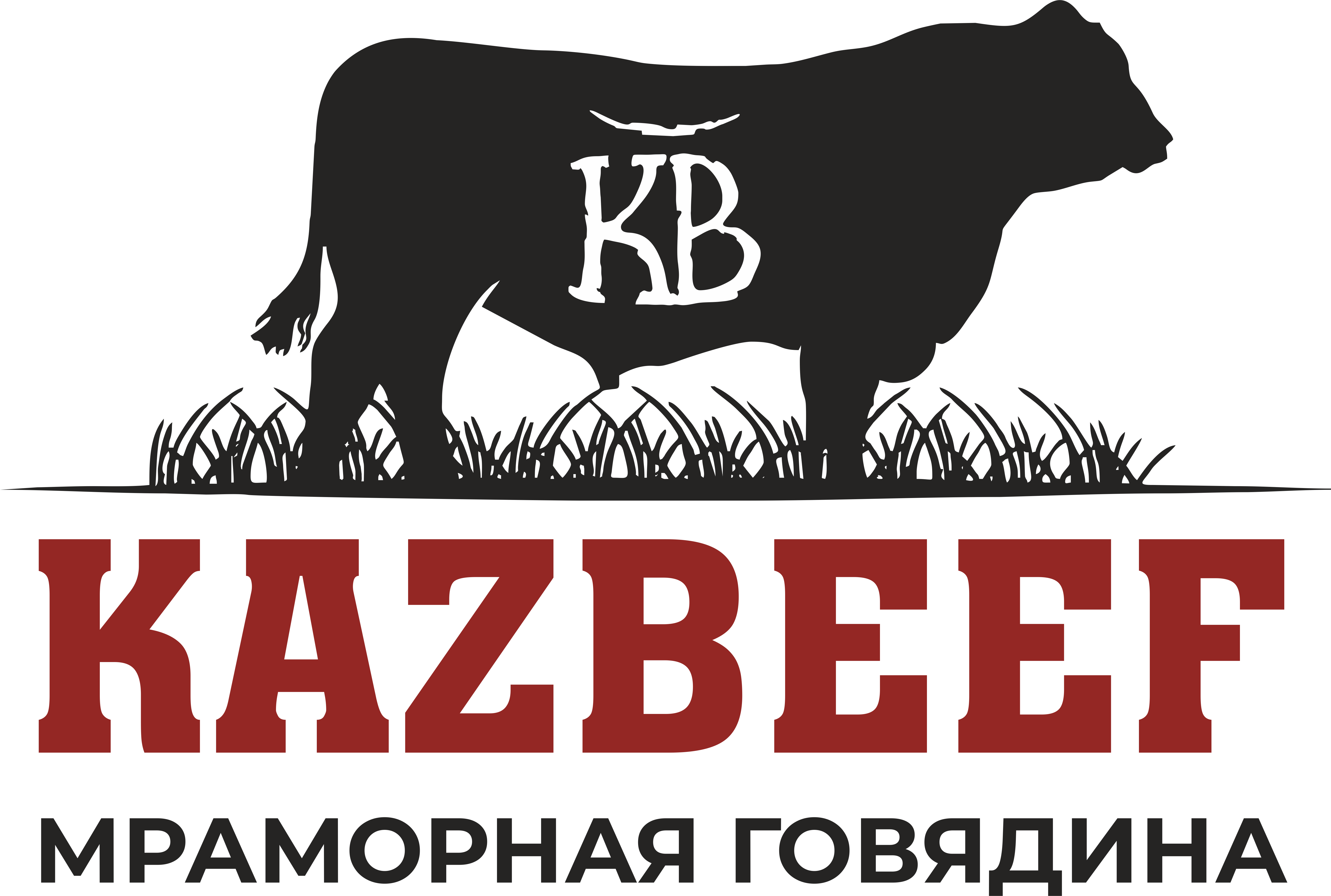 KazBeef Processing (КазБиф Процессинг)