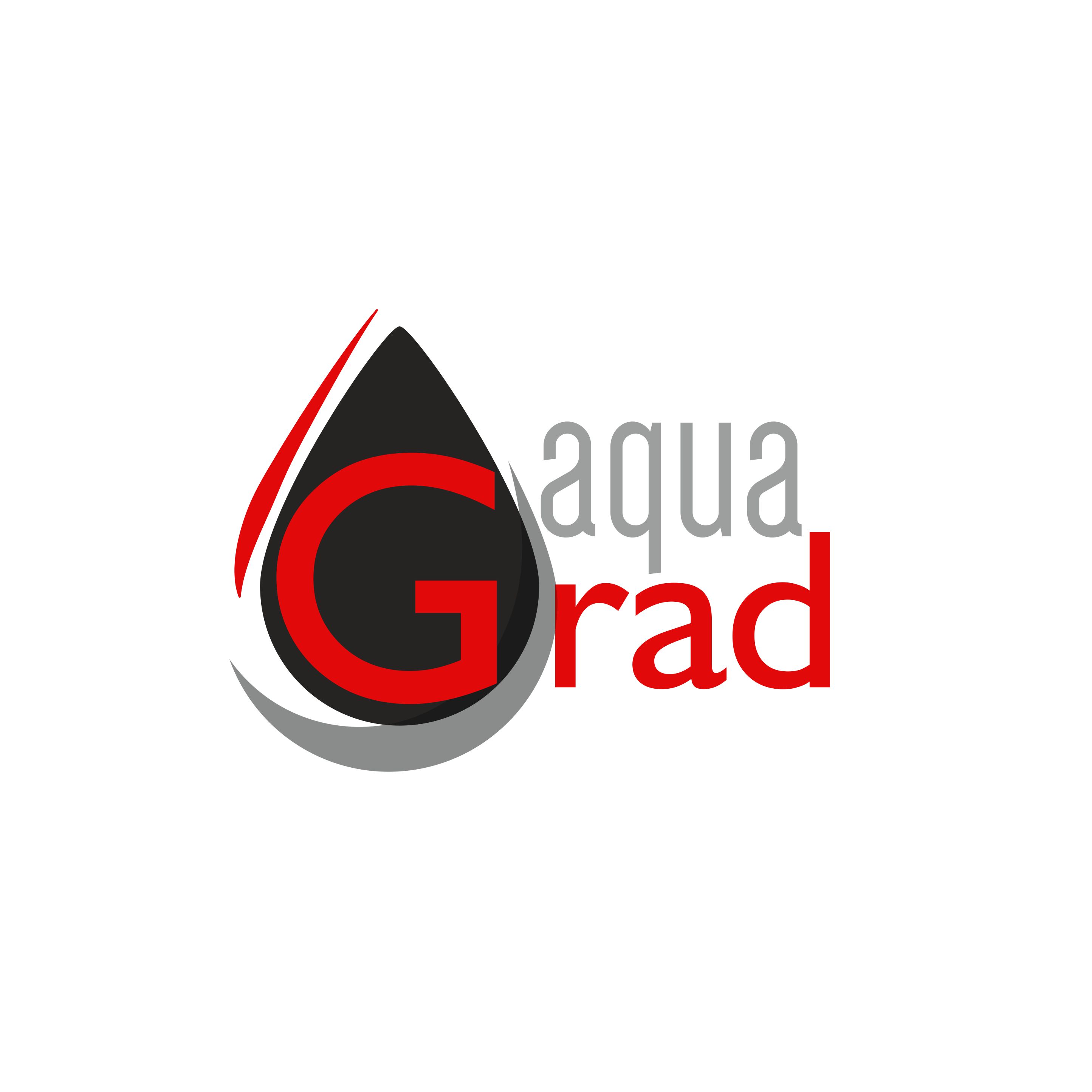 Горачек А. А.