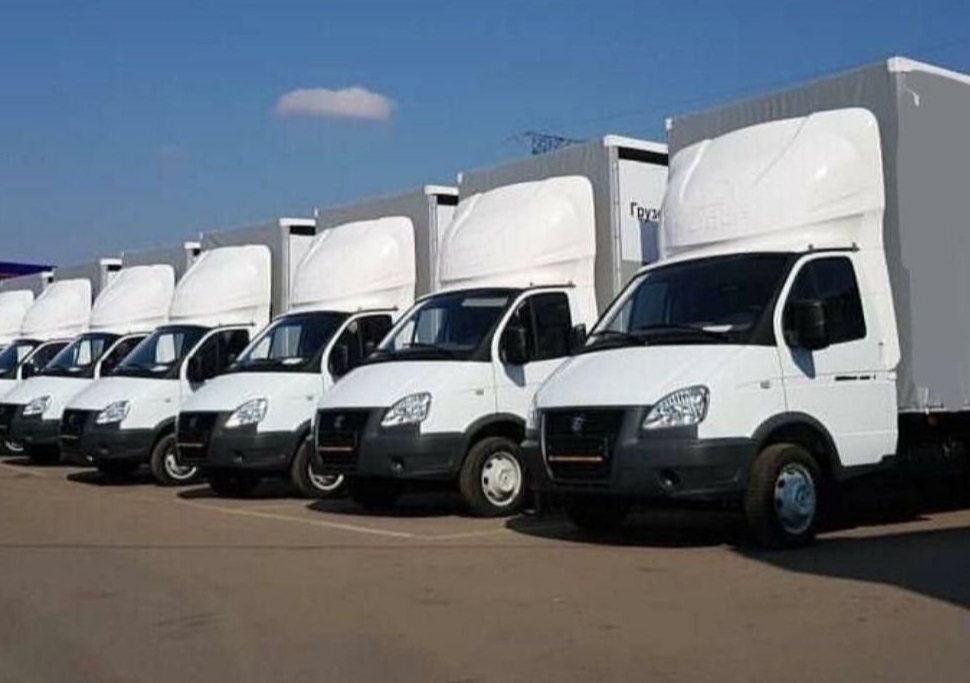 Адэль Карго