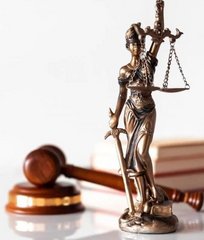 Юридическое Детективное Агентство Закон и Порядок