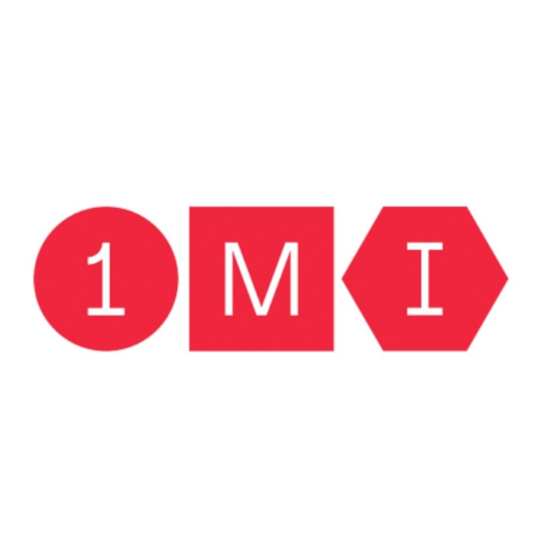 Холдинг 1MI
