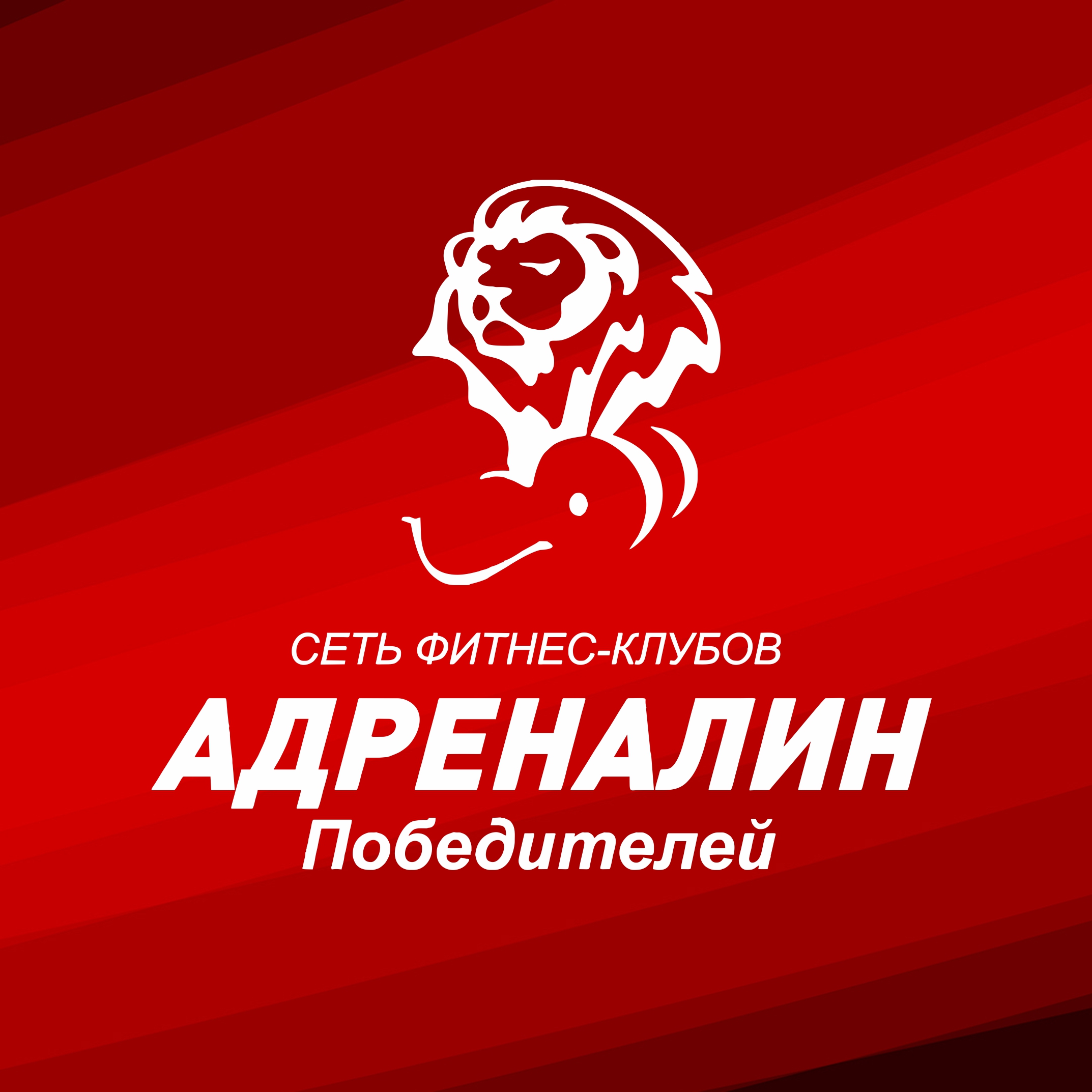 Адреналин Победителей Плюс Адреналин Победителей Плюс
