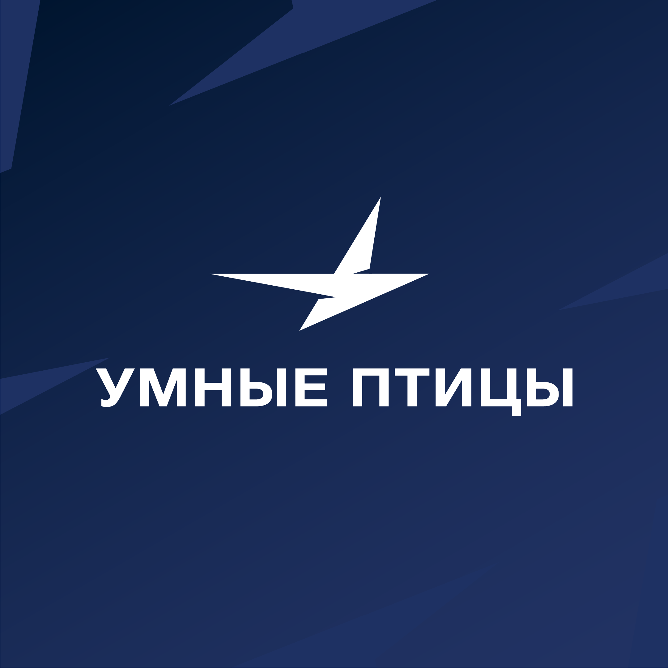 Умные Птицы