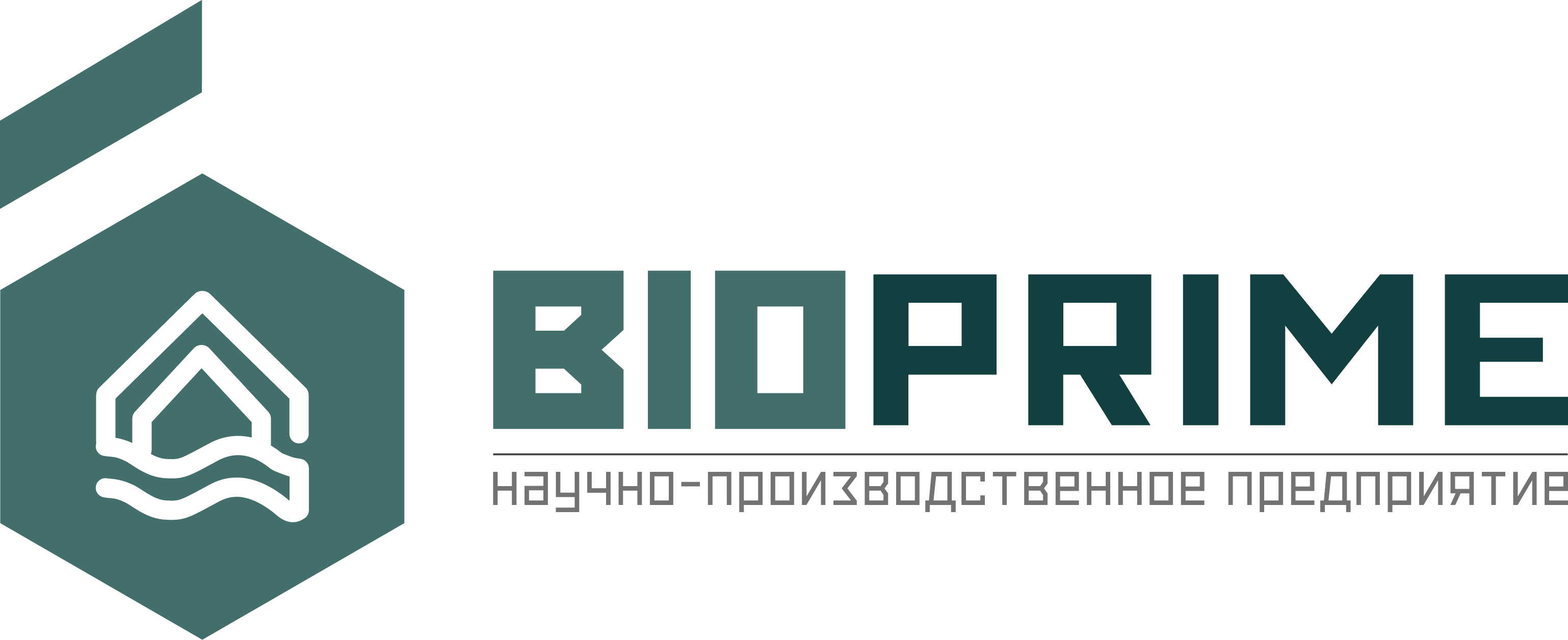 Строим-СПб