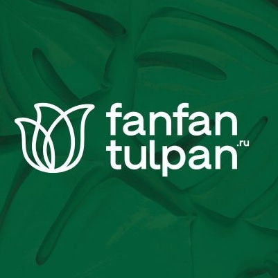 FanFanTulpan