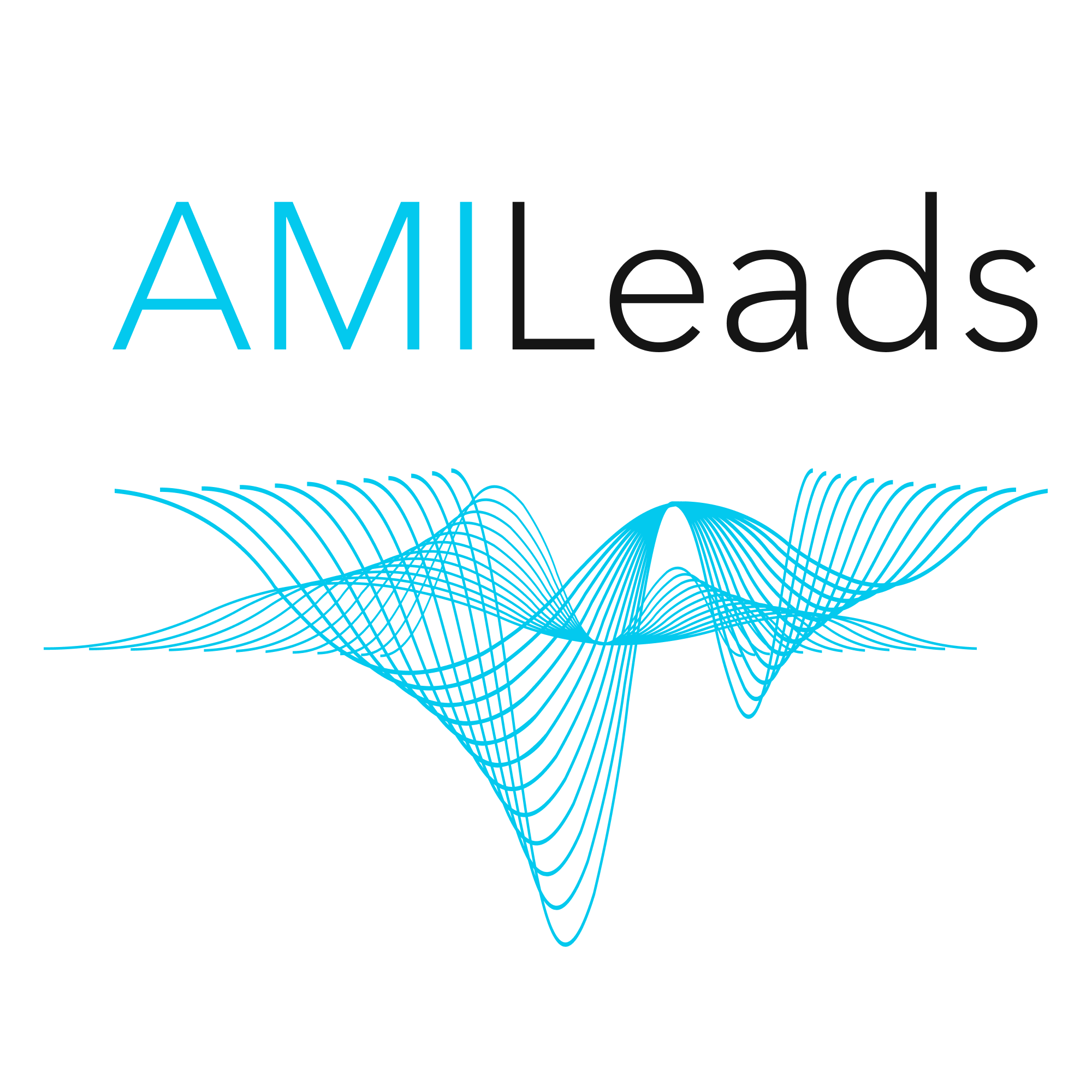AMILeads