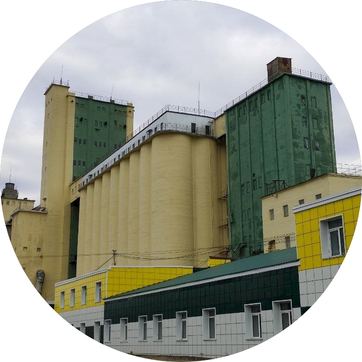 Барнаульский Элеватор