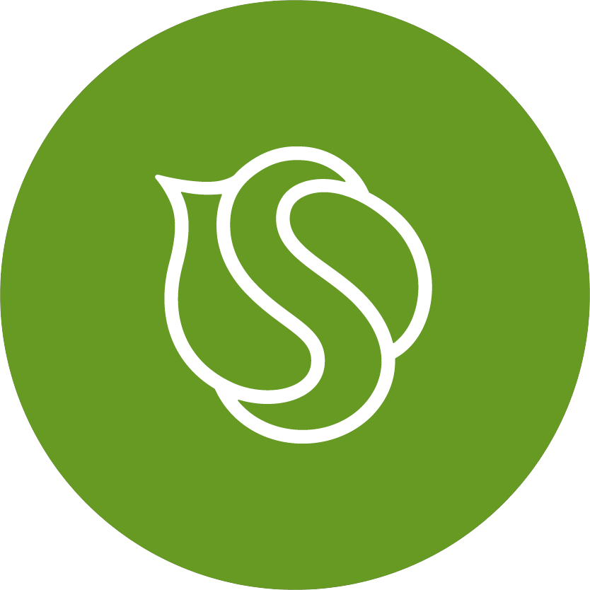 Синергетик