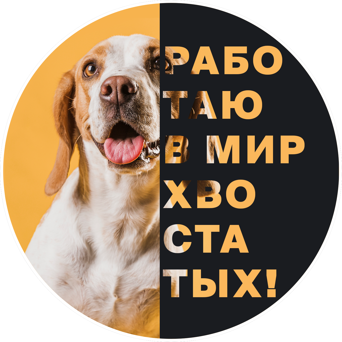 Мир хвостатых