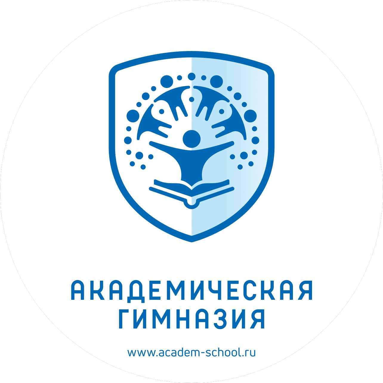 СОШ Академическая Гимназия