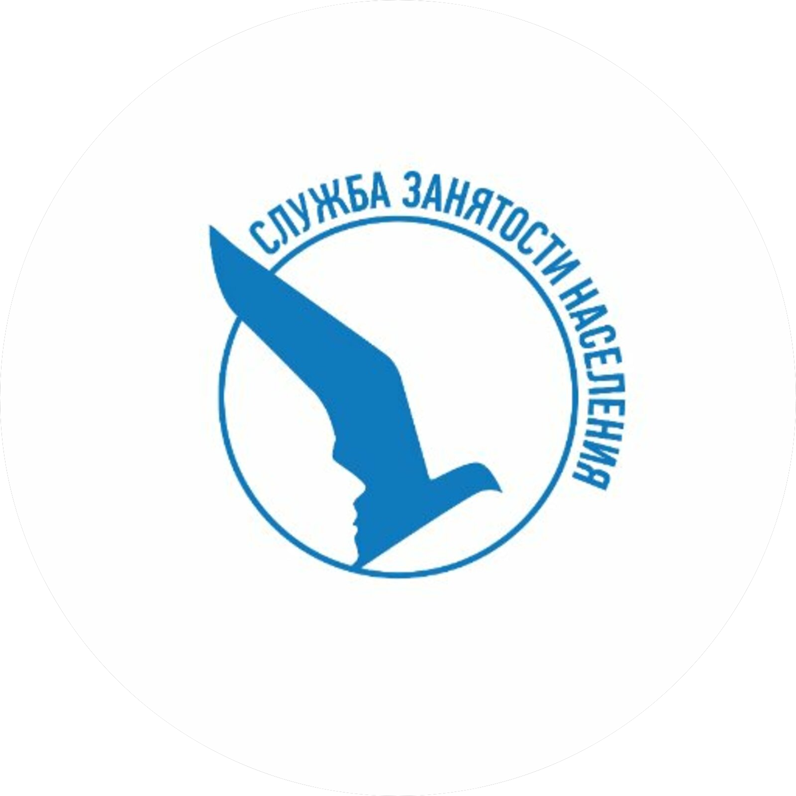 Санкт-Петербургское Государственное Автономное Учреждение Центр занятости населения Санкт-Петербурга