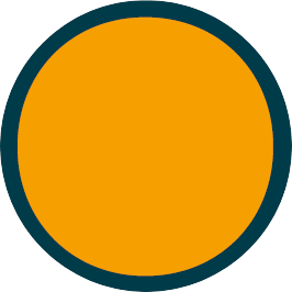 BONGO24