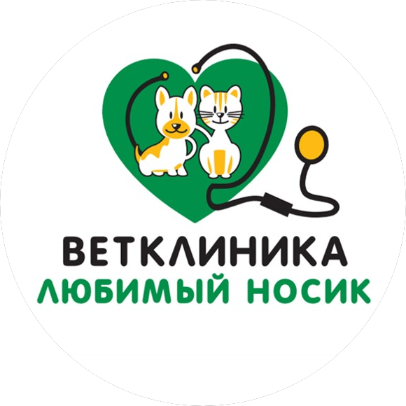Любимый носик