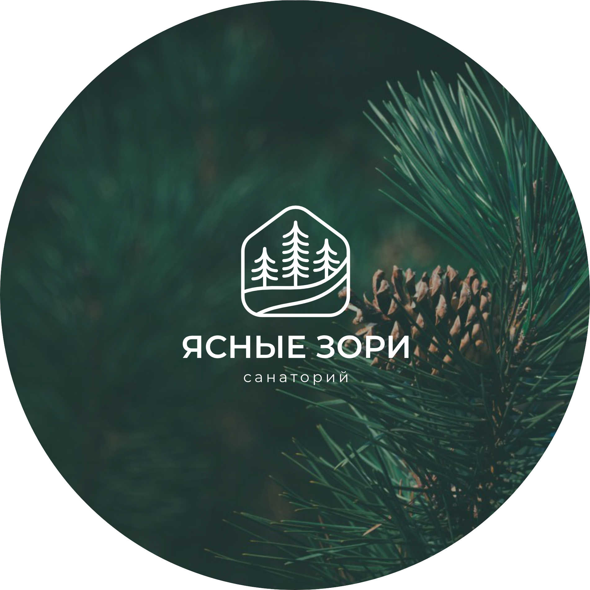 МУЗ Санаторий Ясные зори