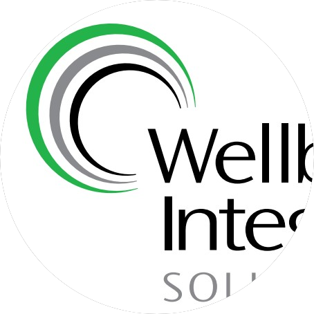 Wellbore Integrity Service