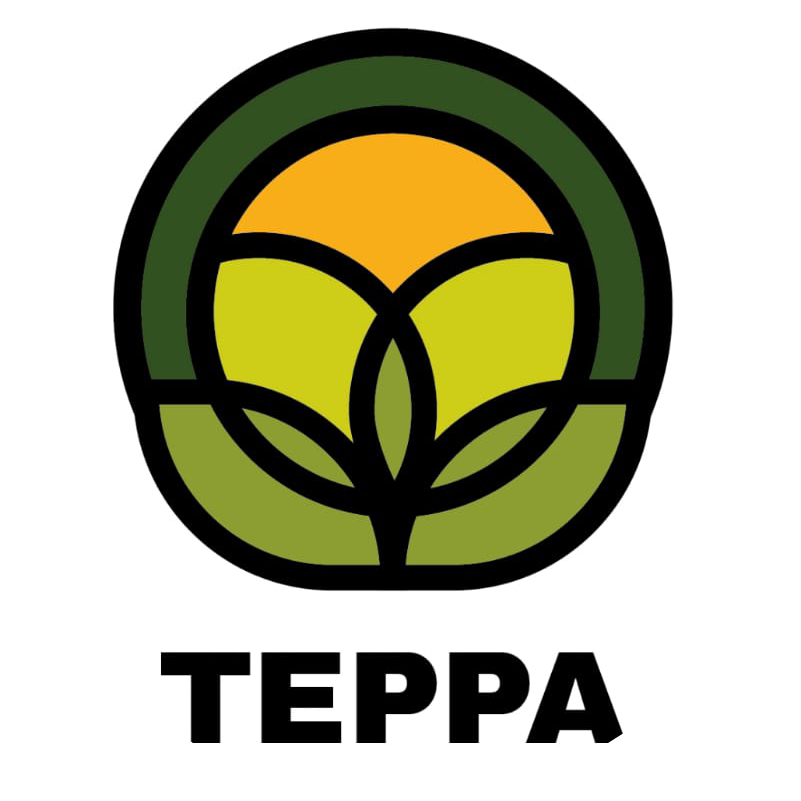 Терра