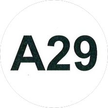 А29