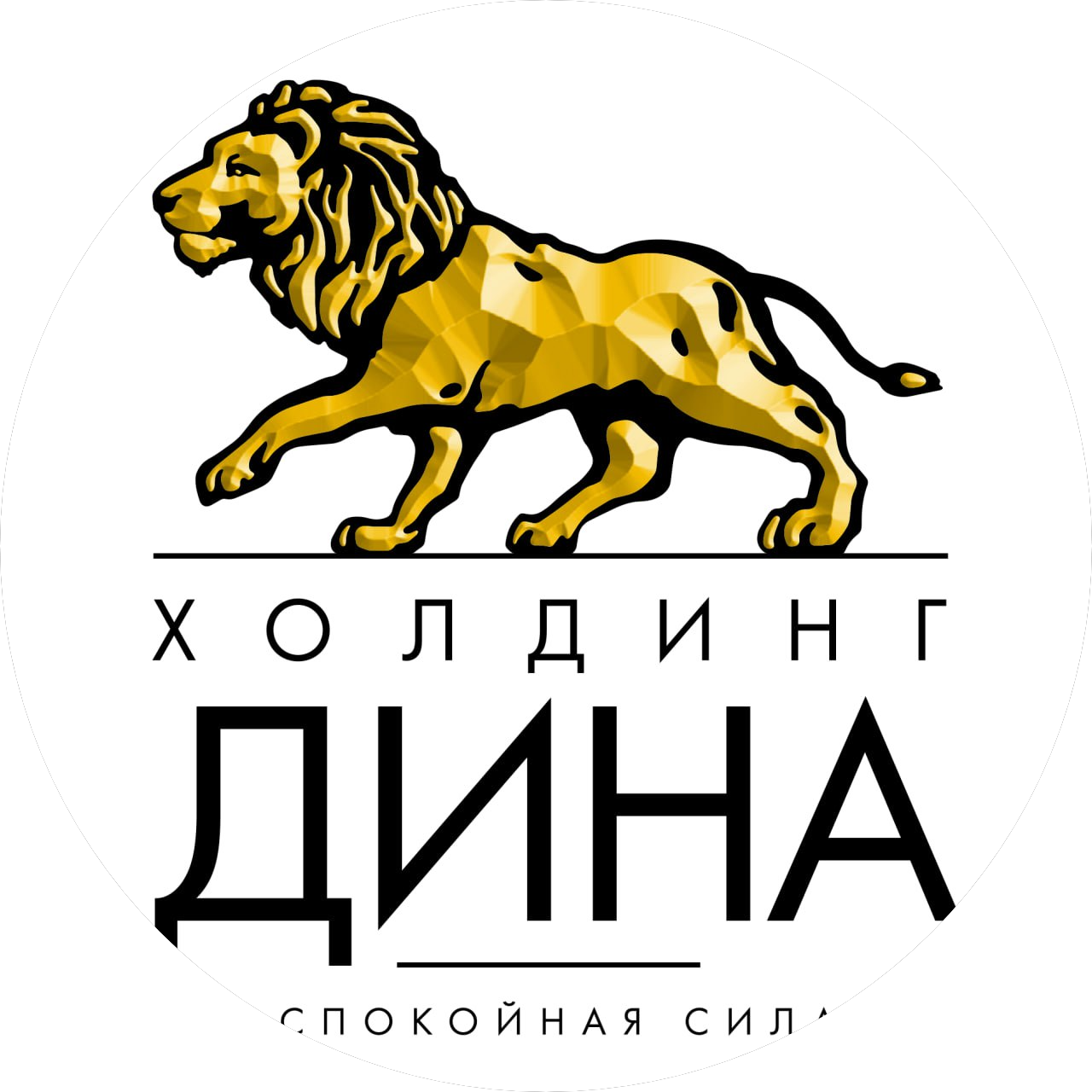 Группа компаний Дина