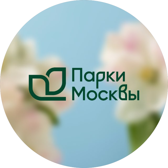 Развитие парков