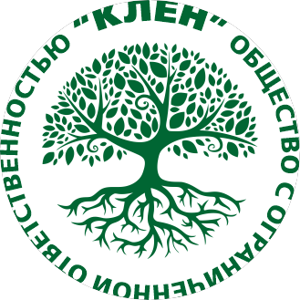 Клён