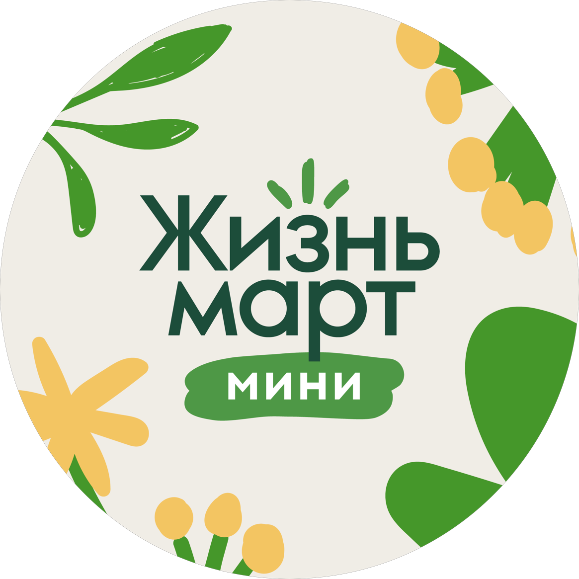 Жизньмарт мини (ИП Шатунов Евгений Константинович)