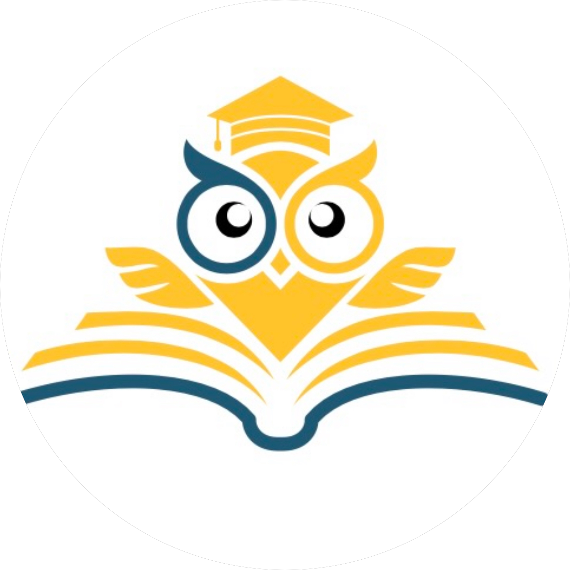 Автономная некоммерческая организация общеобразовательная организация Академия