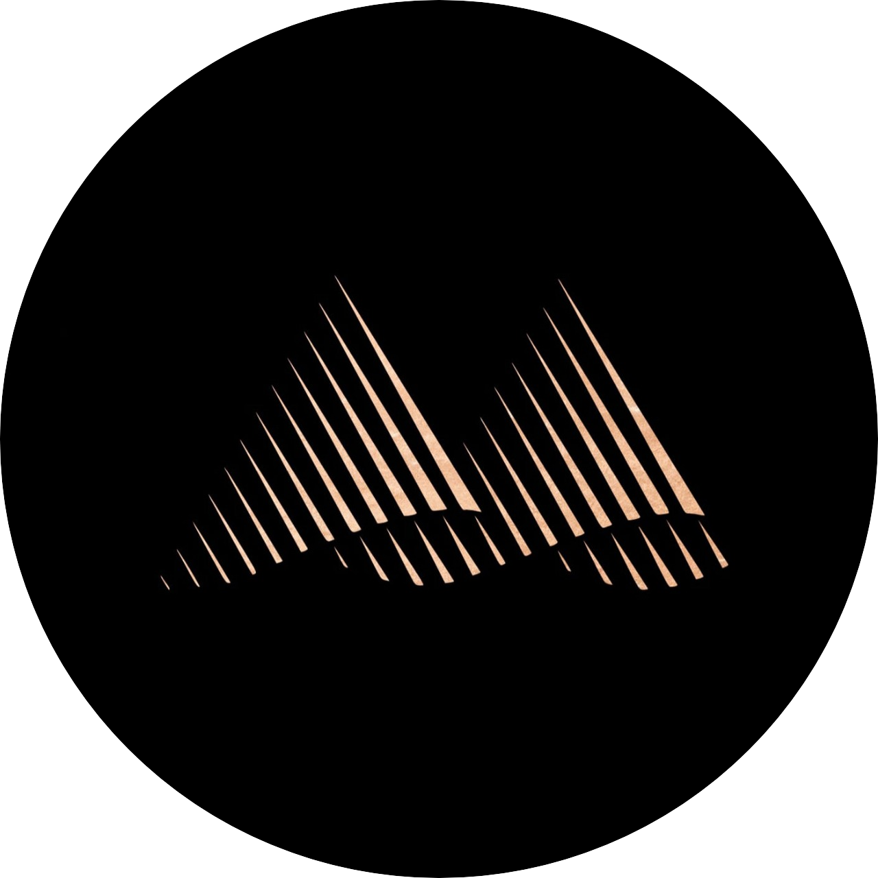 Vacancy icon