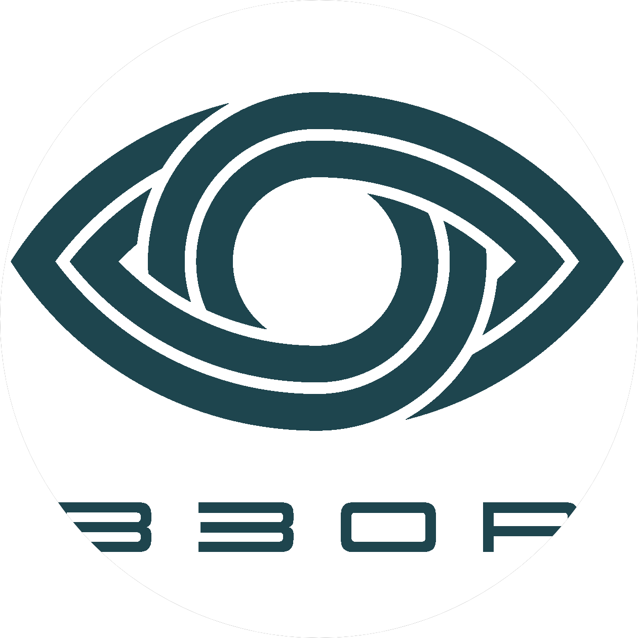 НПО ВЗОР