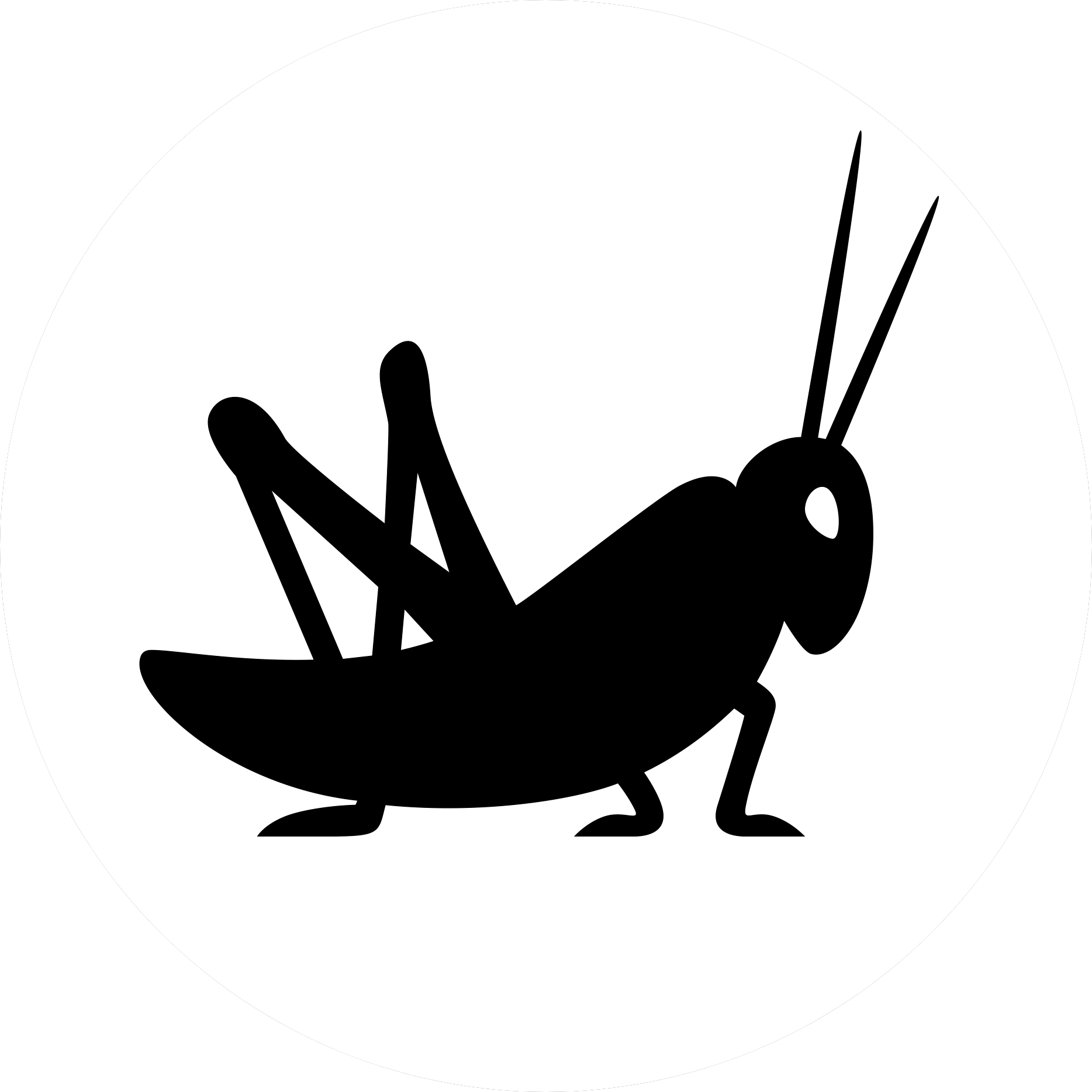 Магазин RITMIKA