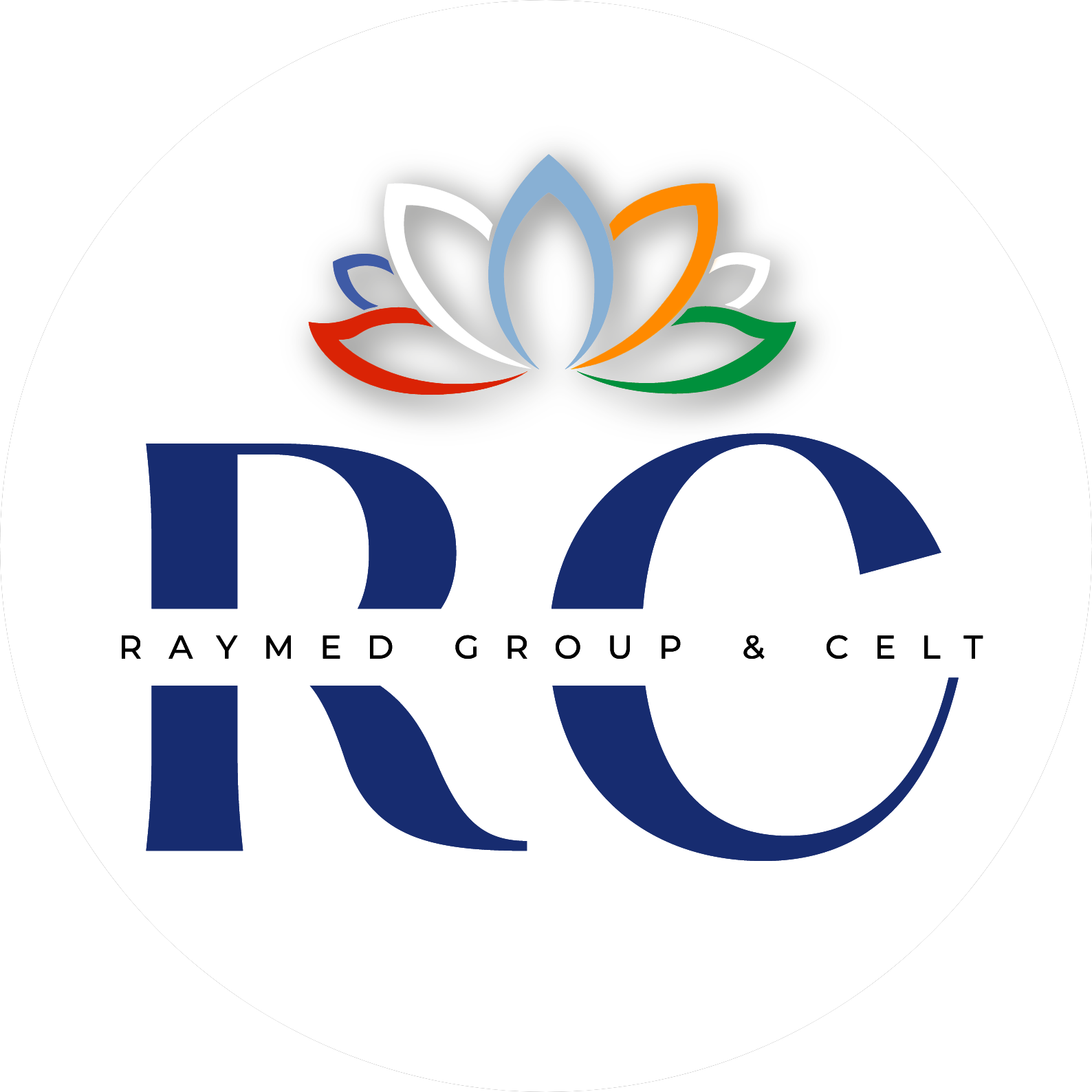 Раймед Трейдинг Групп