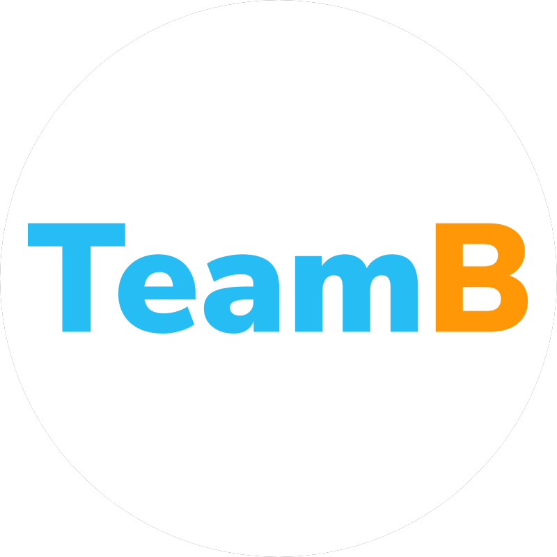 Team-B, веб-студия