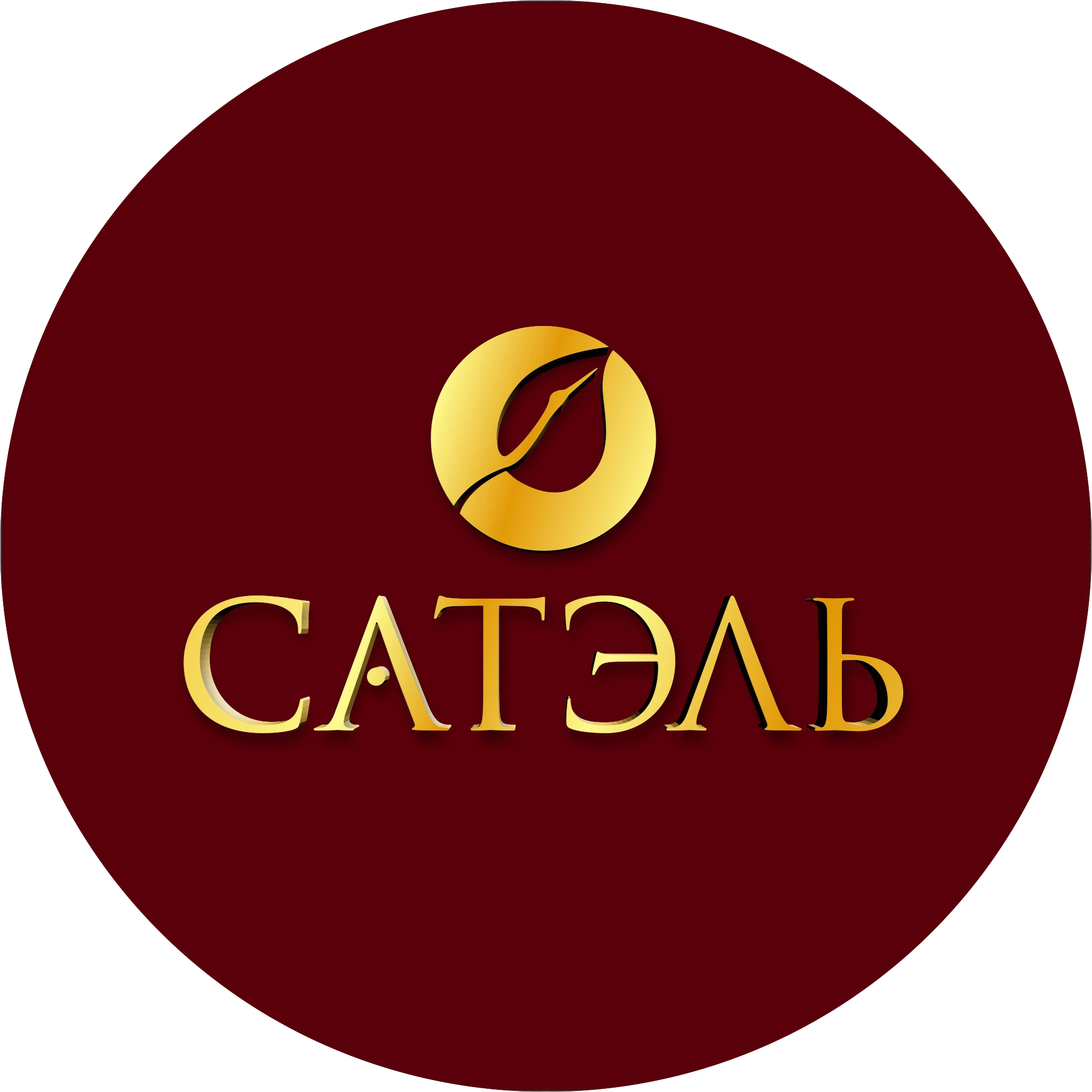 Сатардинова Эльмира Евгеньевна