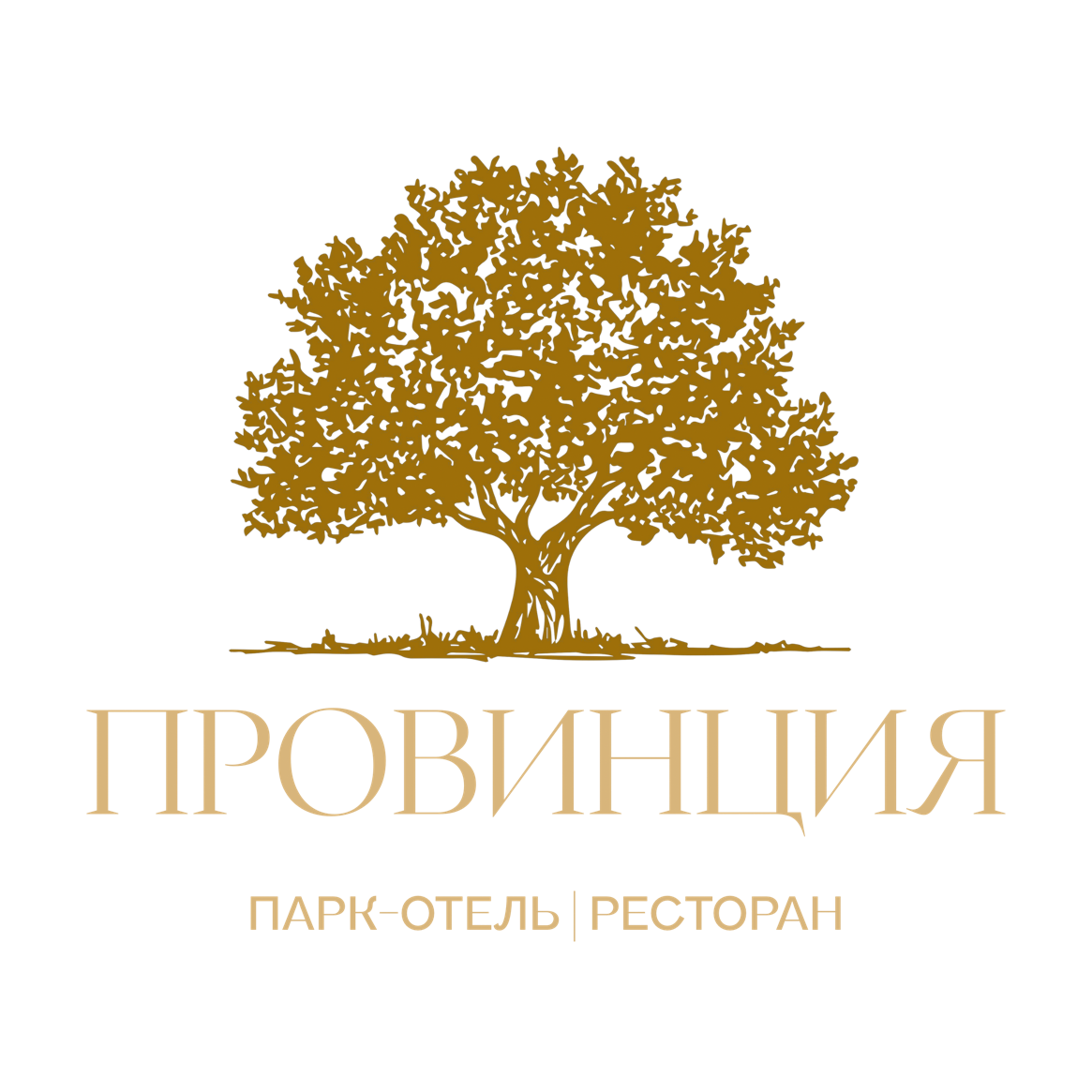 Парк-отель Провинция