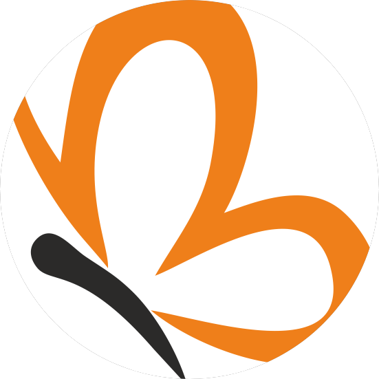 Инженеры информации