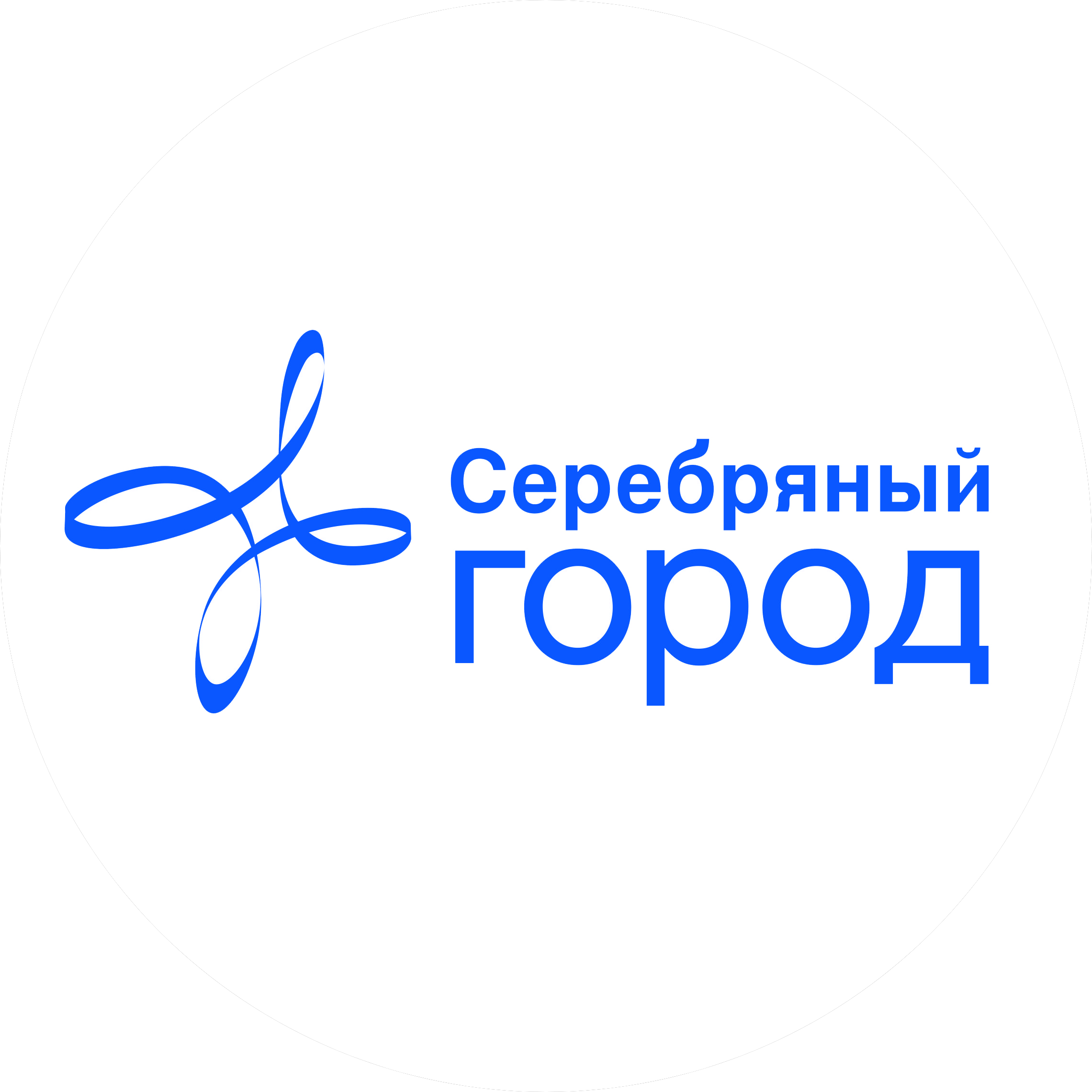 Серебряный город