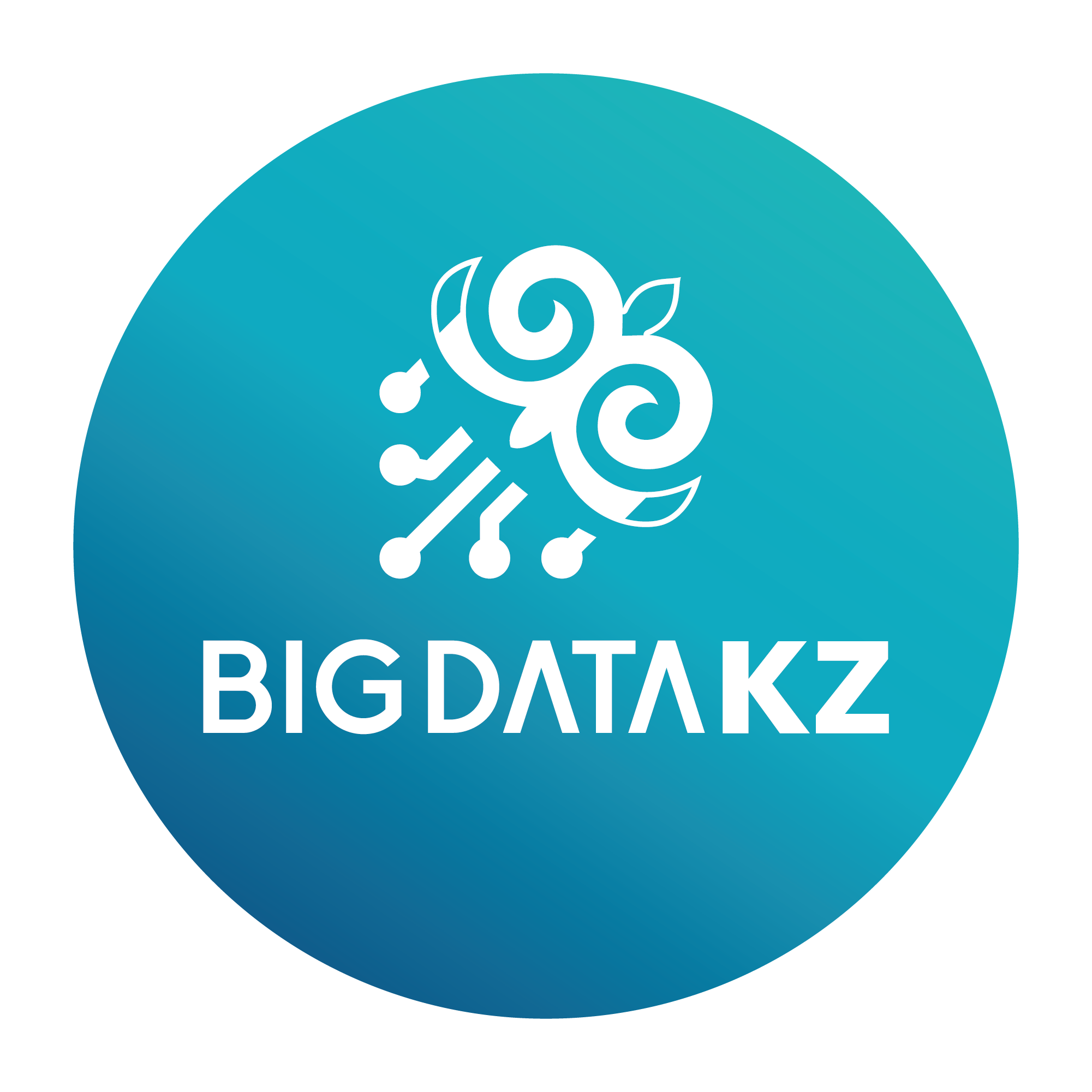BigData KZ