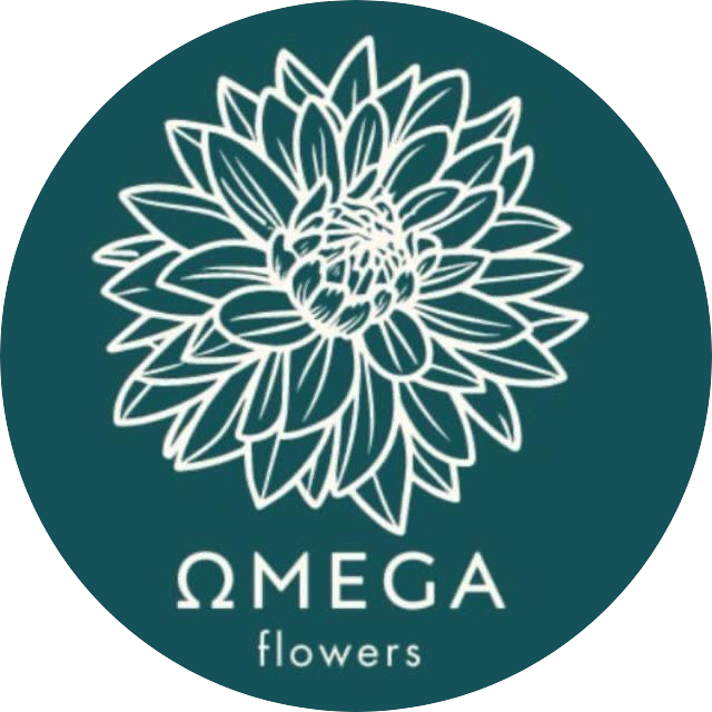 Иванов Никита Валериевич