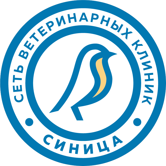 Шакин Анатолий Викторович