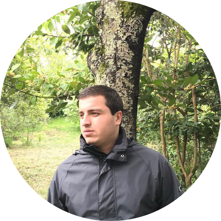 Гулуа Герман Лукраевич