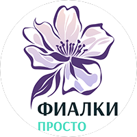 Кирилко Ирина Анатольевна