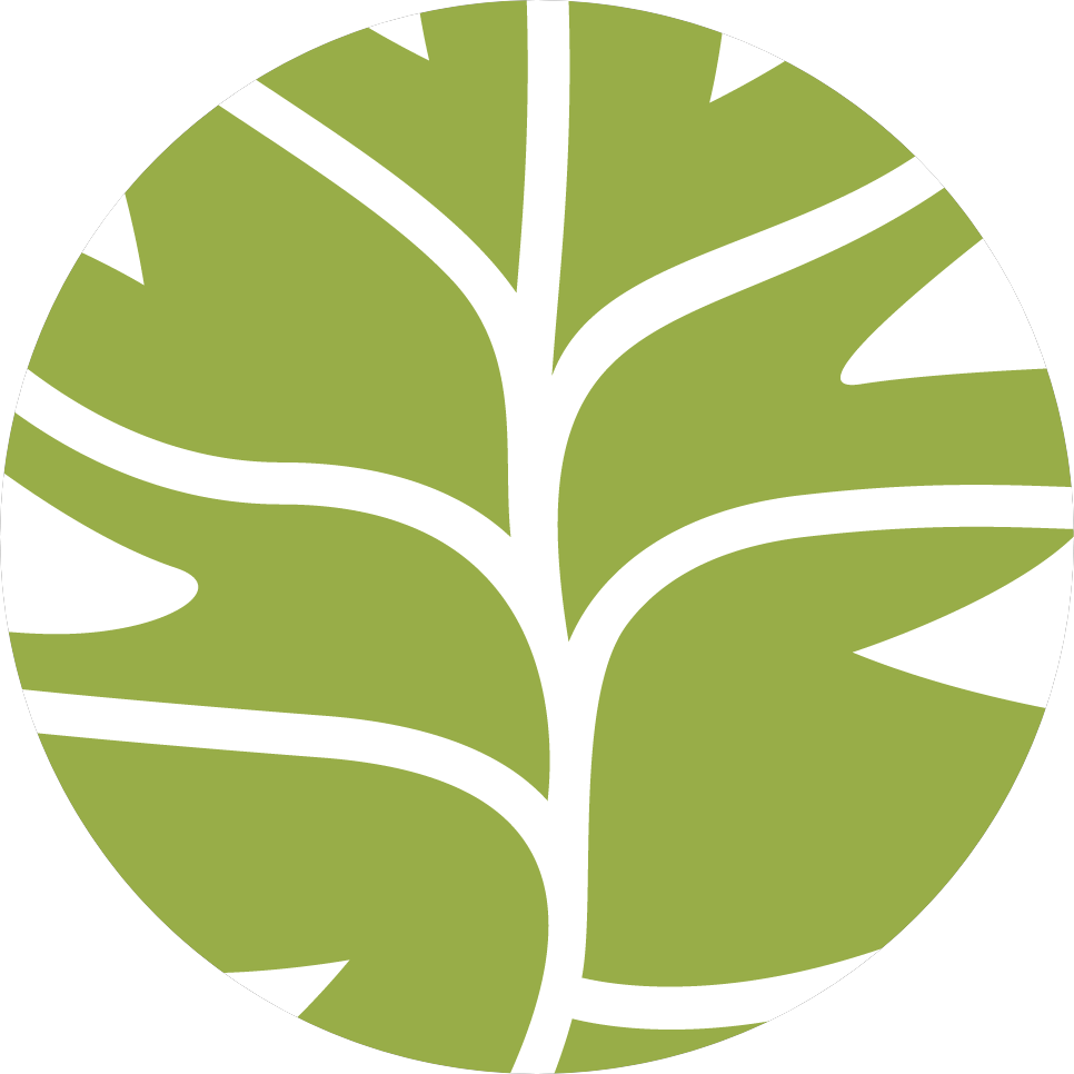 ������� ������ ���